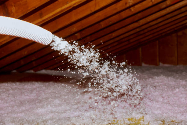 Best Insulation Maintenance and Repair in West Easton, PA